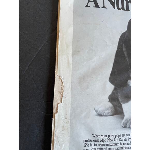 Vintage September 1987 Hounds & Hunting – Beagles in Print Vol. 84 Magazine - Picture 7 of 7